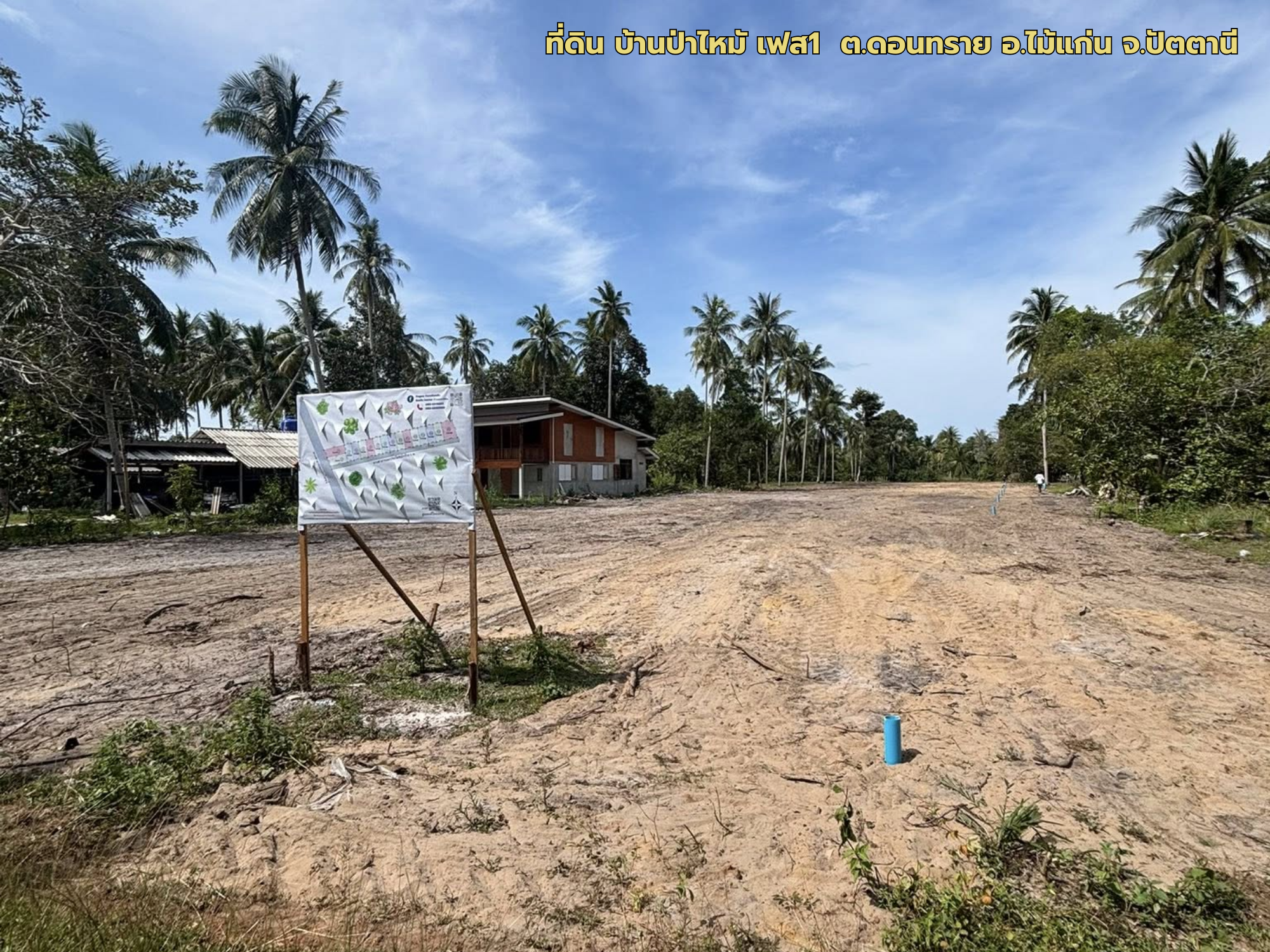 ที่ดินป่าไหม้ ฮอตสุดในตอนนี้! ทำเลดี ใกล้ชุมชน สิ่งอำนวยความสะดวกครบ เหมาะสำหรับสร้างบ้าน เก็บไว้ลงทุน หรือฝากไว้ให้ลูกหลาน