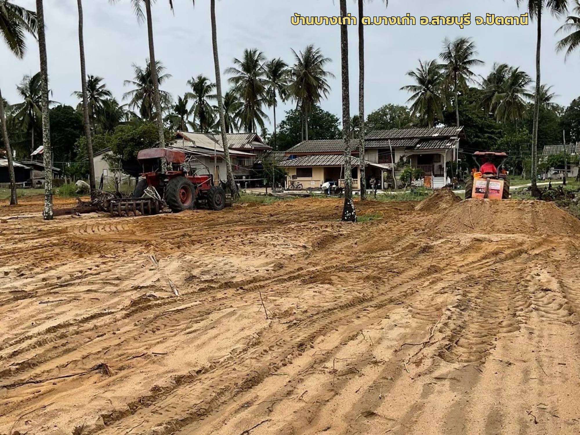  สัมผัสสวรรค์ของคนรักทะเล กับโครงการที่ดินวิวทะเลที่พักผ่อนท่ามกลางธรรมชาติ!  ตื่นเช้ามารับลมทะเลและชมพระอาทิตย์ขึ้นเหนือทะเลบางเก่า สวยงามเกินคำบรรยาย