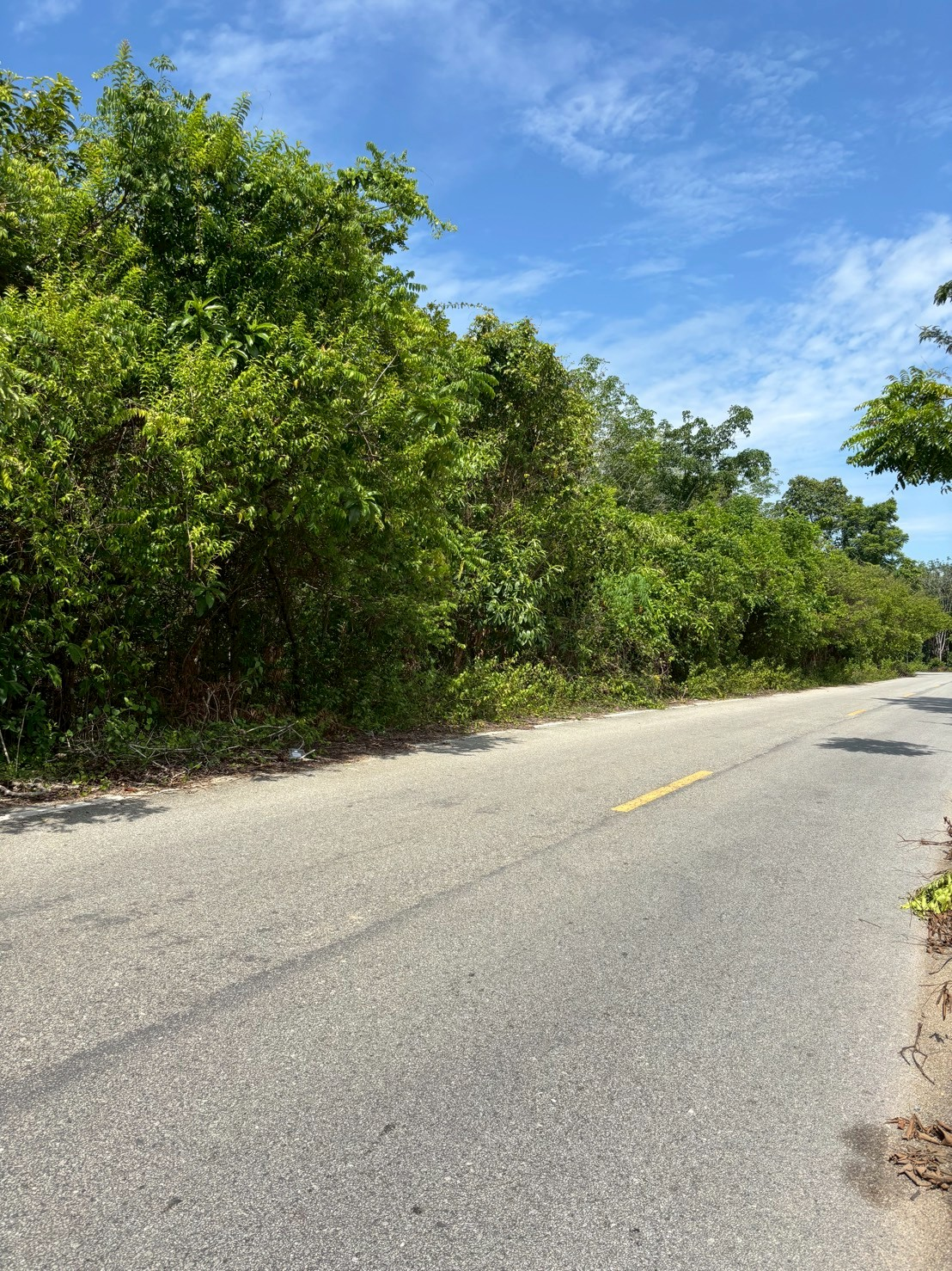 ที่ดินพร้อมสวนยาง! ทำเลทองที่คุณเป็นเจ้าของได้! ไม่ต้องรอ...เพราะที่ดินแปลงนี้พร้อมให้คุณเริ่มสร้างรายได้ทันที! ที่ดินพร้อมสวนยางทำเลดีมาก ติดถนนใหญ่ เดินทางสะดวก เหมาะอย่างยิ่งสำหรับนักลงทุนที่ต้องการทรัพย์สินที่ให้ผลตอบแทนคุ้มค่า และเติบโตอย่างต่อเนื่อง